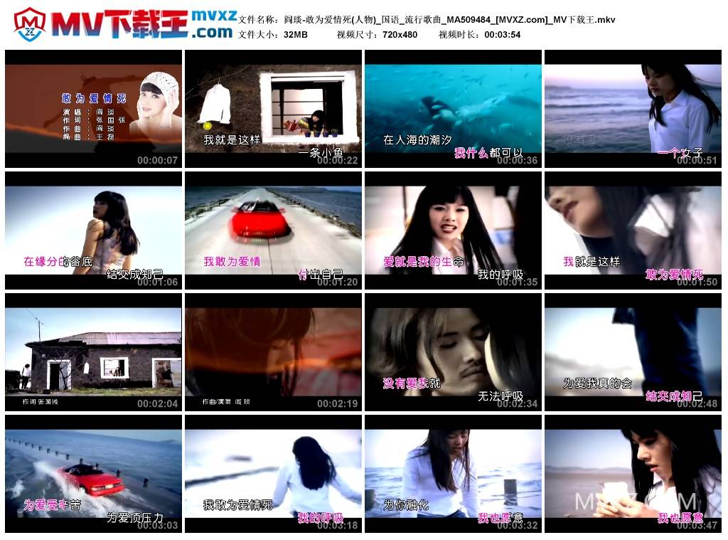 阎琰-敢为爱情死(人物)_国语_流行歌曲_MA509484